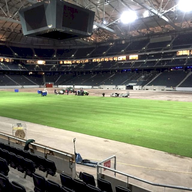 Friends Arena, Natural turf, pitch, grass, sports
