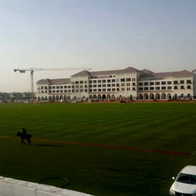 Habtoor Polo Pitch Dubai, Natural turf, pitch, grass, sports