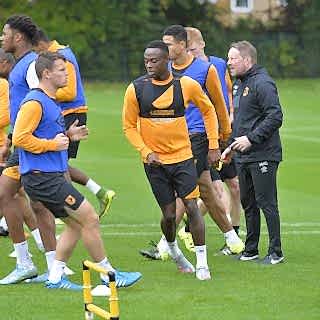 Hull City SISGrass,sports clubs,hybrid, grass, turf, pitch