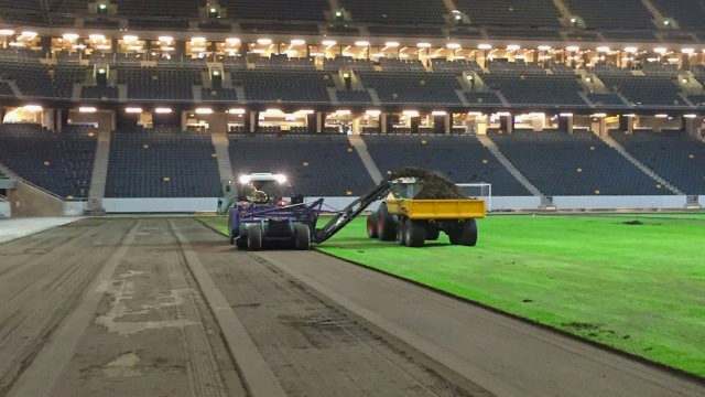 Natural turf, pitch, grass, sports