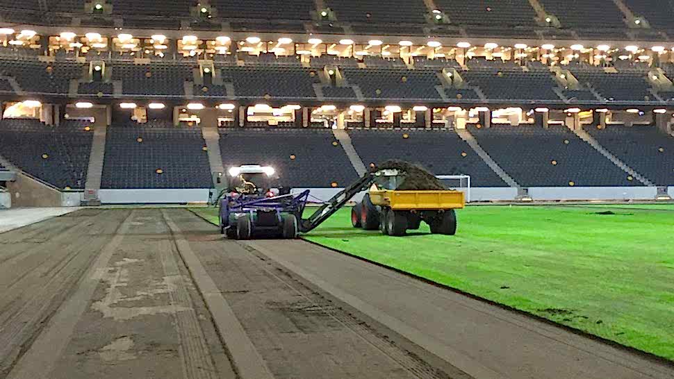 Natural turf, pitch, grass, sports