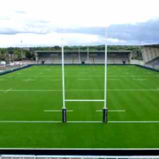 Newcastle Falcons, rugby, turf, pitch, union, league, world rugby