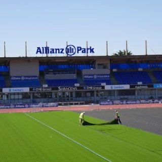 Saracens rugby, turf, pitch, union, league, world rugby