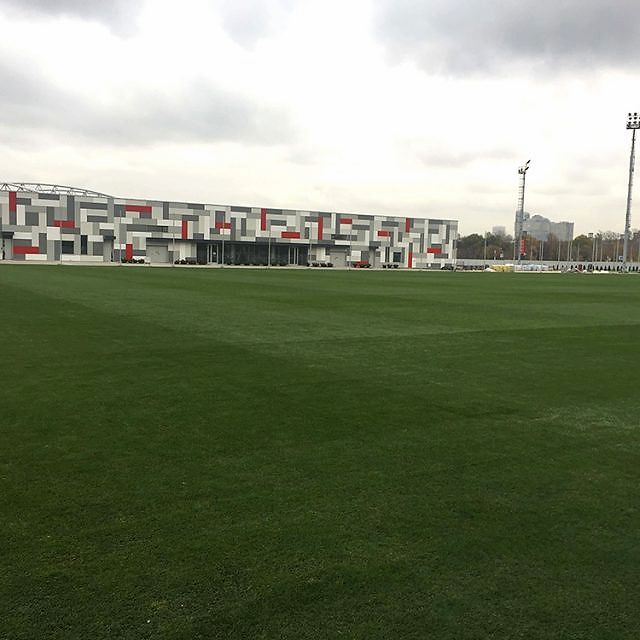 Spartac Moscow Training Pitch, Natural turf, pitch, grass, sports