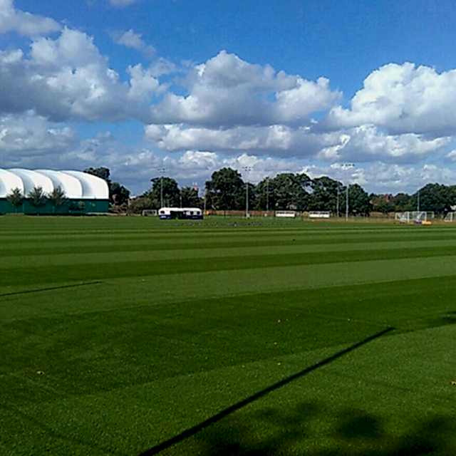 SISGrass, Hybrid pitch, grass, reinforced grass, hybrid technology, Fulham FC Training Ground