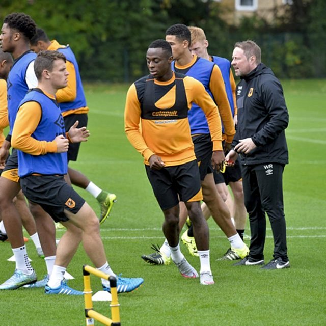 SISGrass, Hybrid pitch, grass, reinforced grass, hybrid technology, Hull City