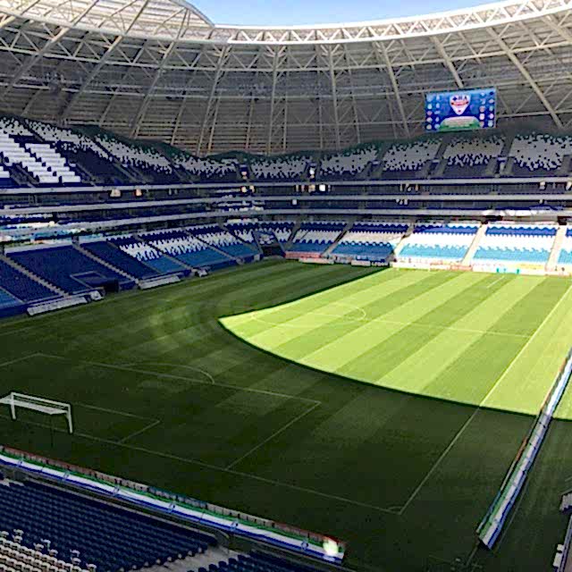 SISGrass World Cup Pitches Samara Arena Comos