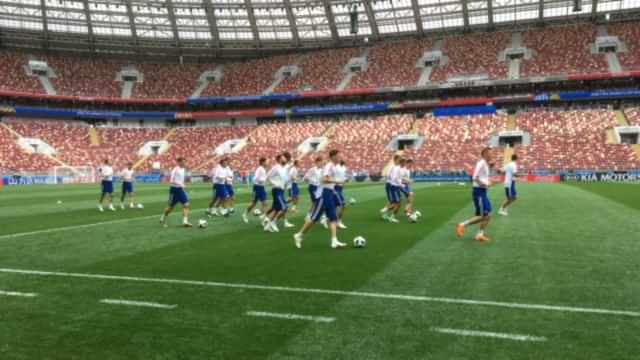 SISGrass hybrid pitch Luzhniki World Cup 2018
