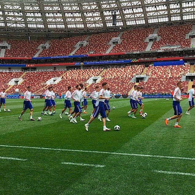 SISGrass hybrid pitch Luzhniki World Cup 2018